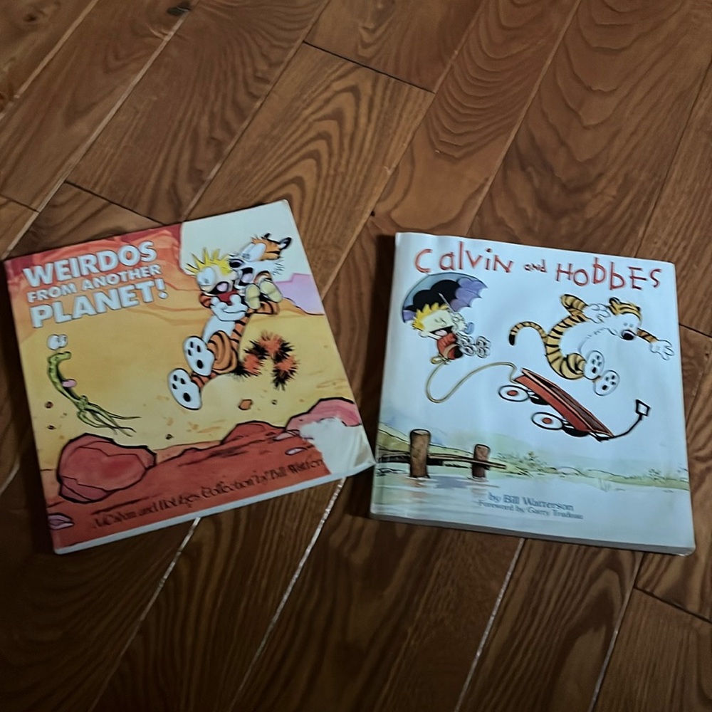 2 Calvin and hobbes comic book and weirdos from another planet collection